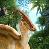 星空传媒视频怎么设置铃声破解版